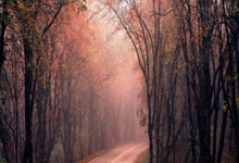 开云体育app-斯洛文尼亚：欧预赛晋级神话，小国足球的狂欢盛宴