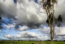 开云体育下载-34岁胡尔克再演单骑救主！绿巨人燃爆南美赛场，诠释不老传奇