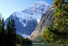 开云APP-卡尔蒂斯替补席深度成优势，冲击世俱杯冠军