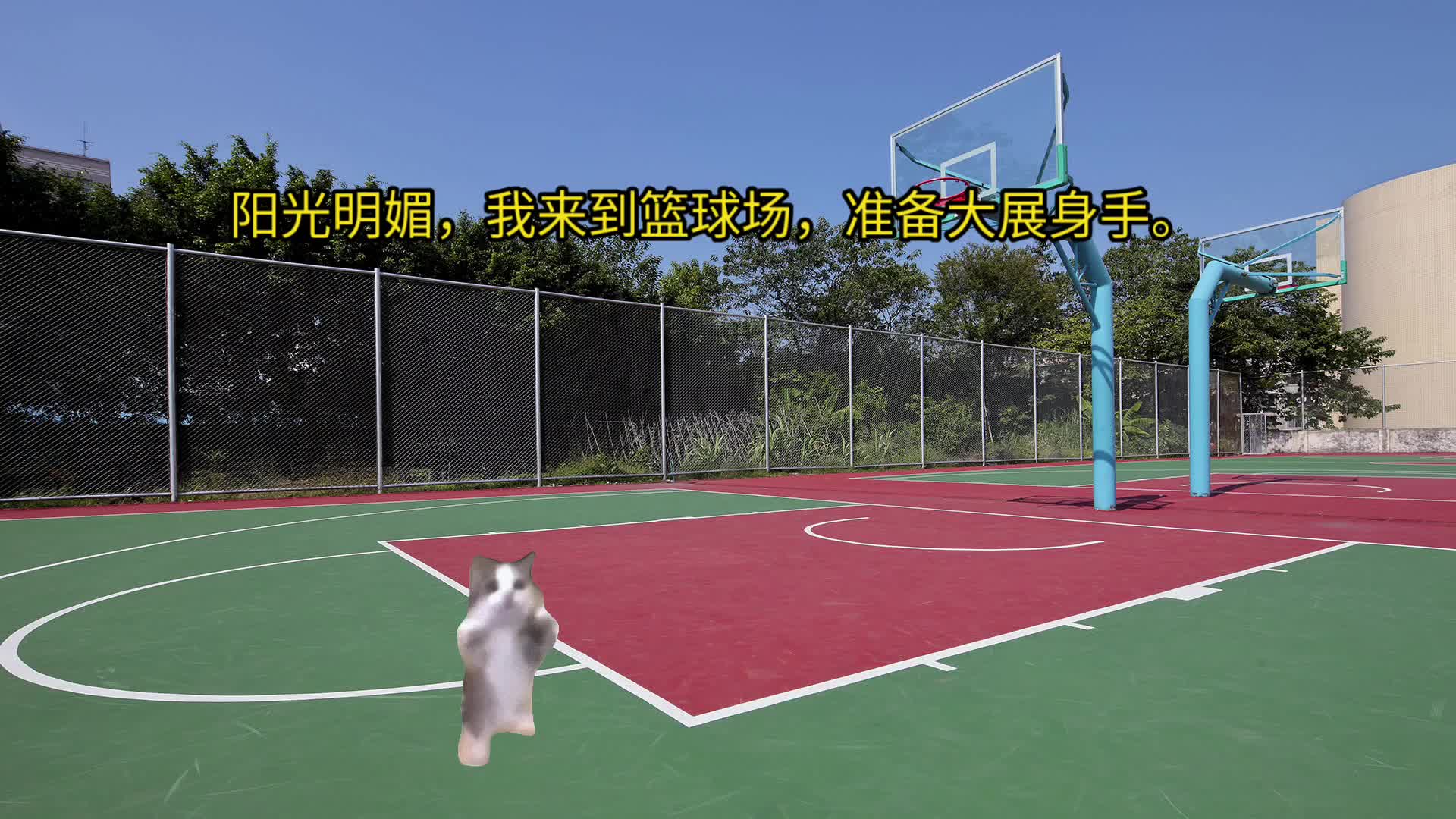 篮球精彩瞬间引网友热议,点赞不断的简单介绍 篮球精彩瞬间引网友热议,点赞不断的简单介绍