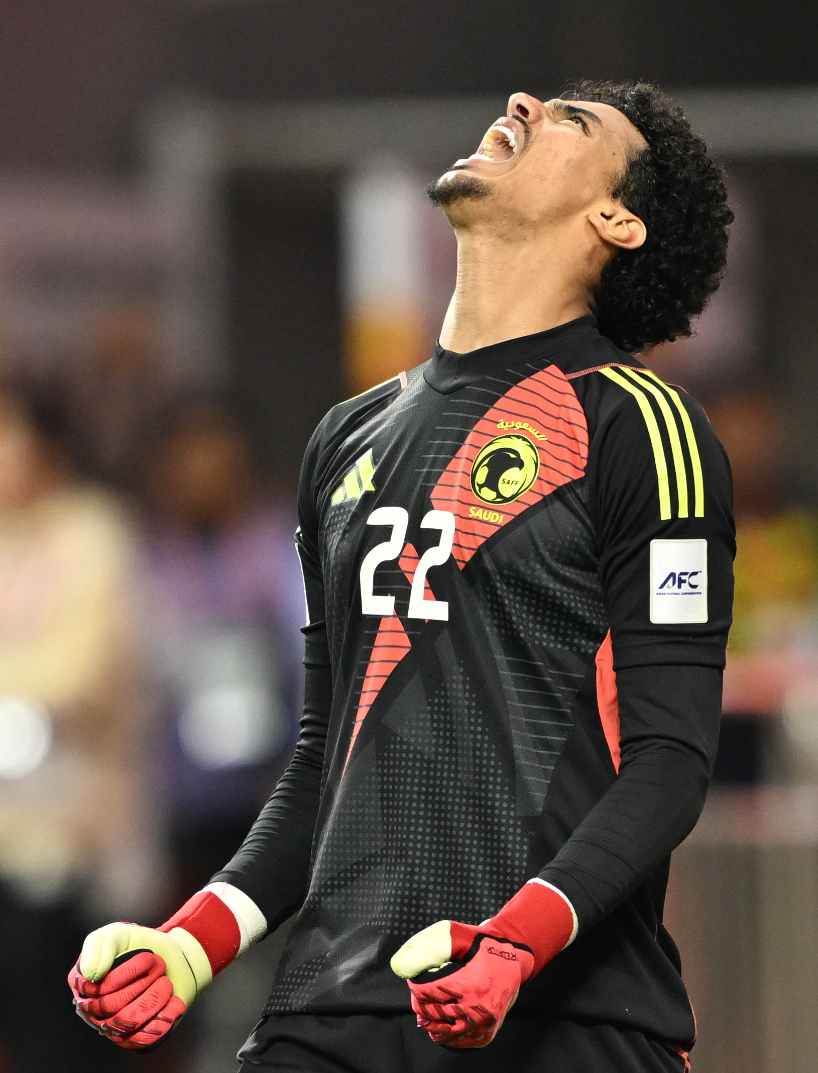 开云体育平台APP-澳大利亚队在国际锦标赛中获得胜利