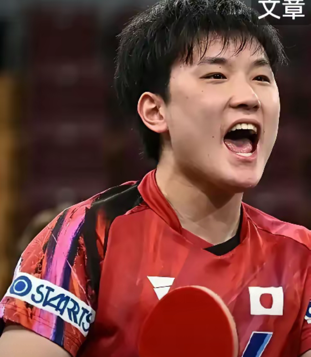 开云体育官方网站-波兰乒乓球队力克中国乒乓球队，张本智和制霸全场的简单介绍