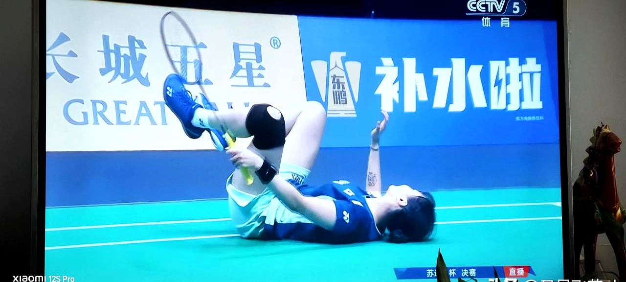 开云平台-韩国队逆转印度队，陈雨菲扛起全队