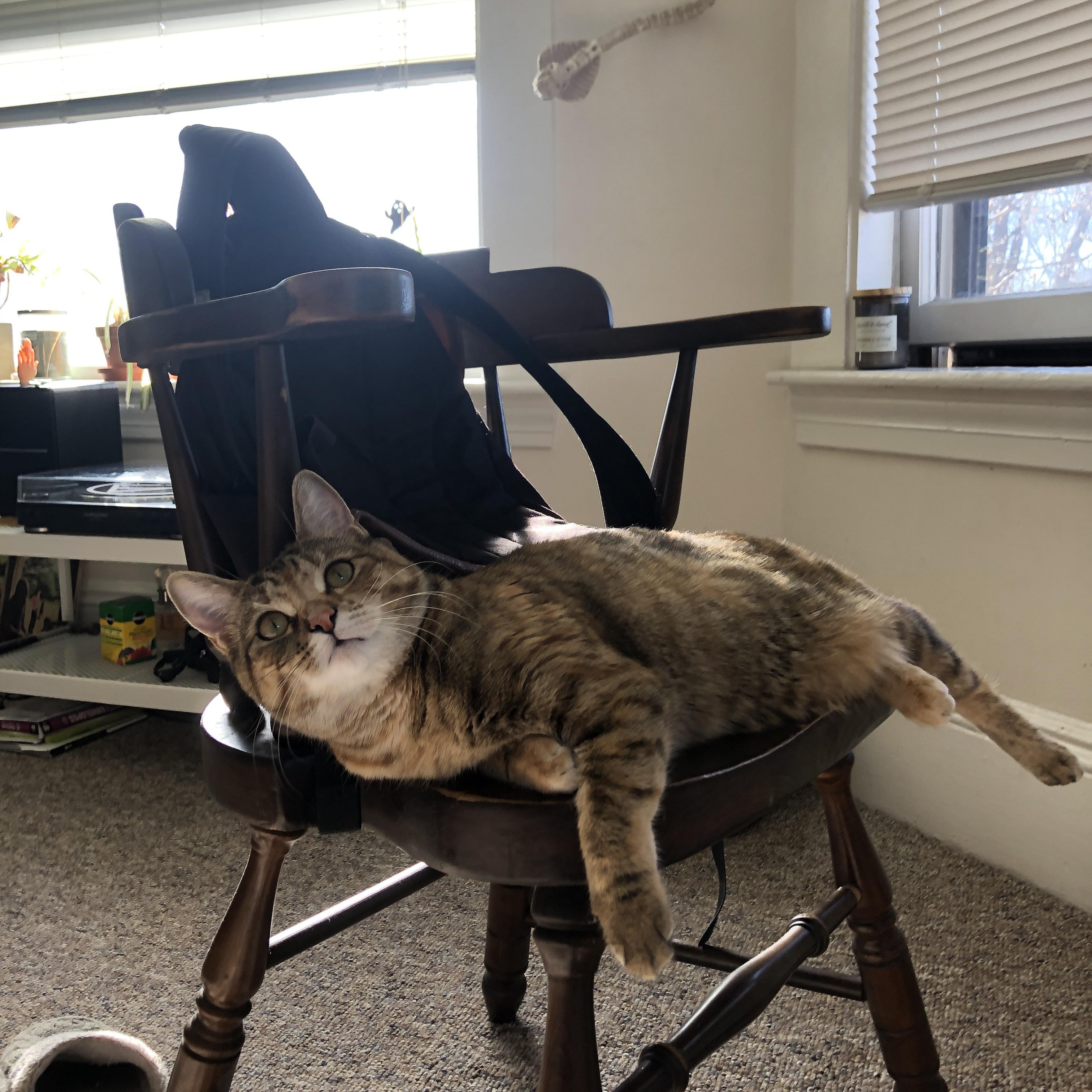 冷门与大师，比利亚雷亚尔斩落曼联，莫德里奇献压制级演出