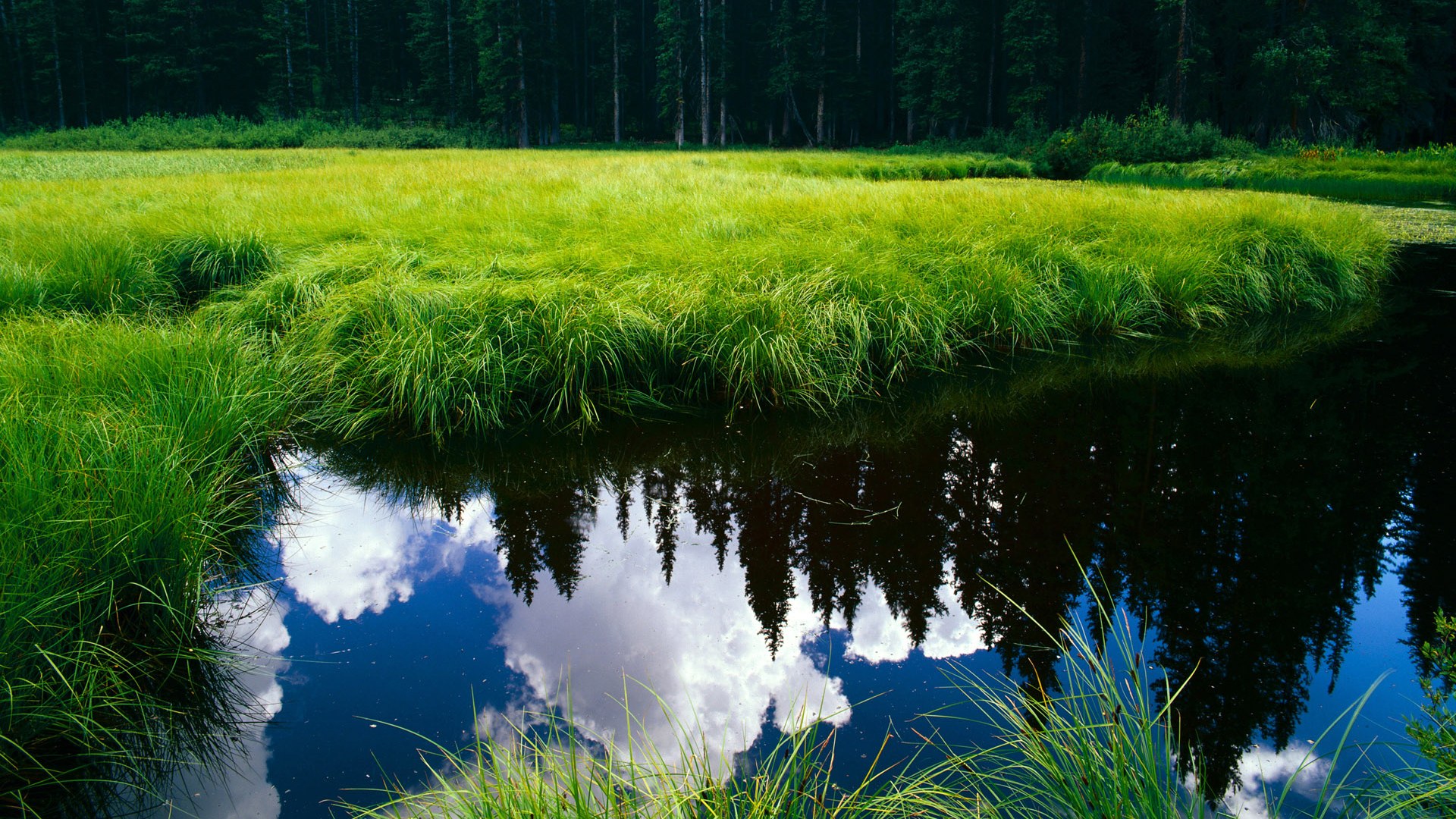 穹顶之下的磁极，马克西如何定义美加墨世界杯的攻防转换之夜