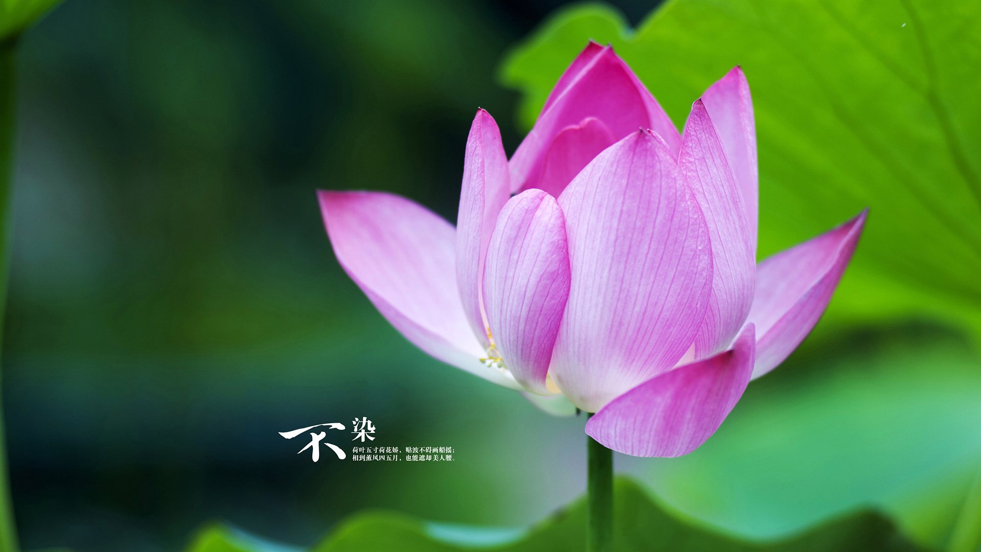 生死战黄潜力克蓝军，德里赫特化身关键先生定乾坤