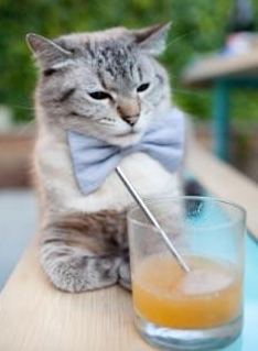 开云体育APP下载-暗夜崛起，尼日利亚抢七鏖战力压爱尔兰，历史首次闯入八强