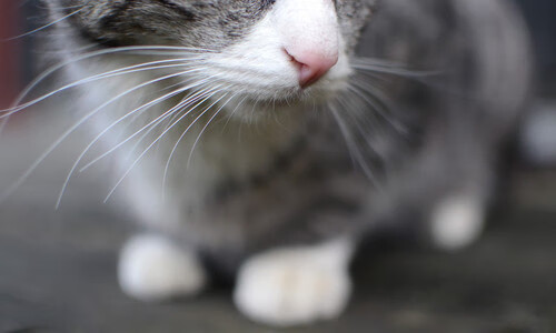 开云体育官网-亚洲巨星降临伯纳乌，孙兴慜在西甲国家德比之夜惊艳四座