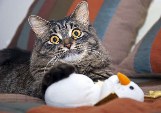 逆转之夜,布克关键节点连续得分,撕开费城最后防线