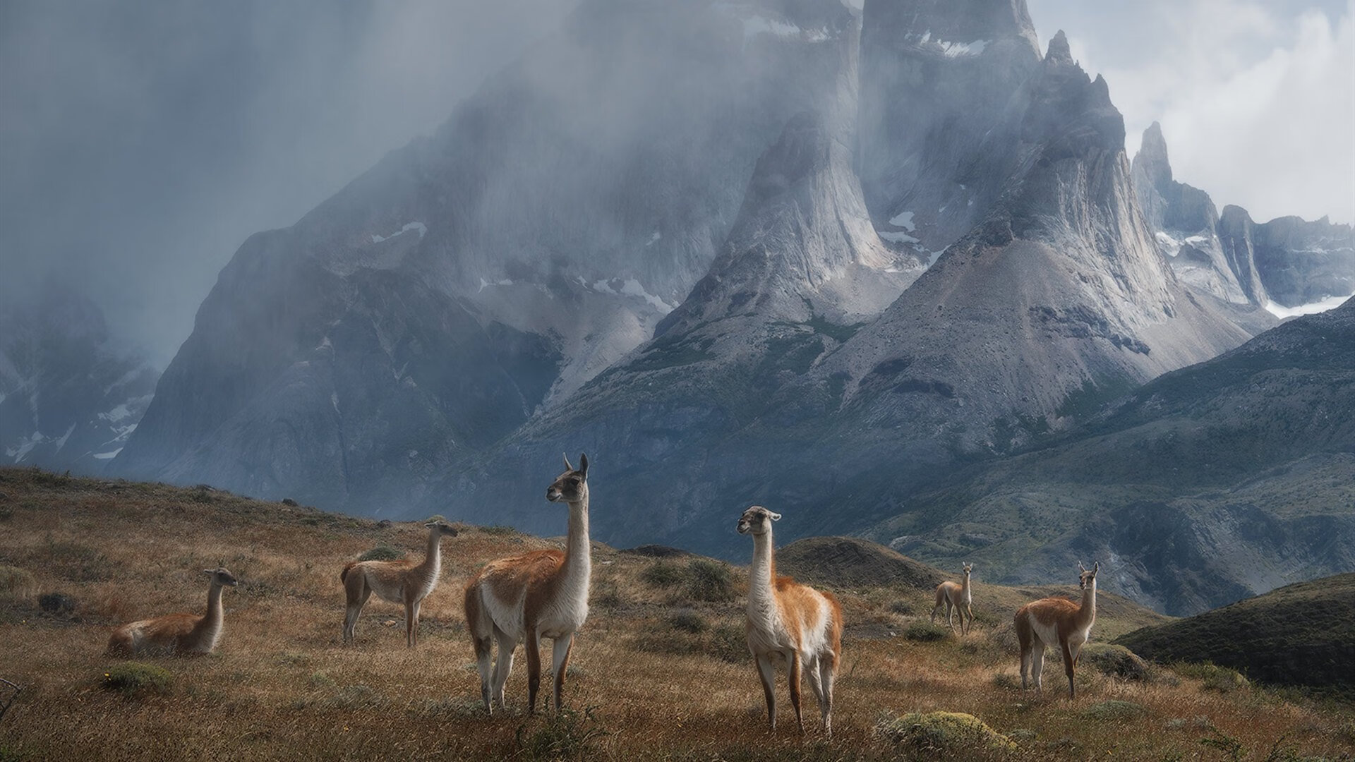 王者归来！詹姆斯39分史诗级逆转，步行者铁血防线强势拿下国王