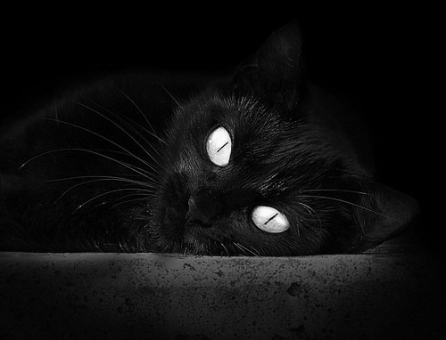 爱德华兹璀璨之夜评分拉满，无奈活塞末节逆转带走猛龙