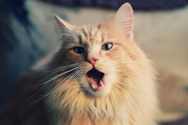 西甲国家德比之夜，姆巴佩全程高能输出，点燃世纪之战