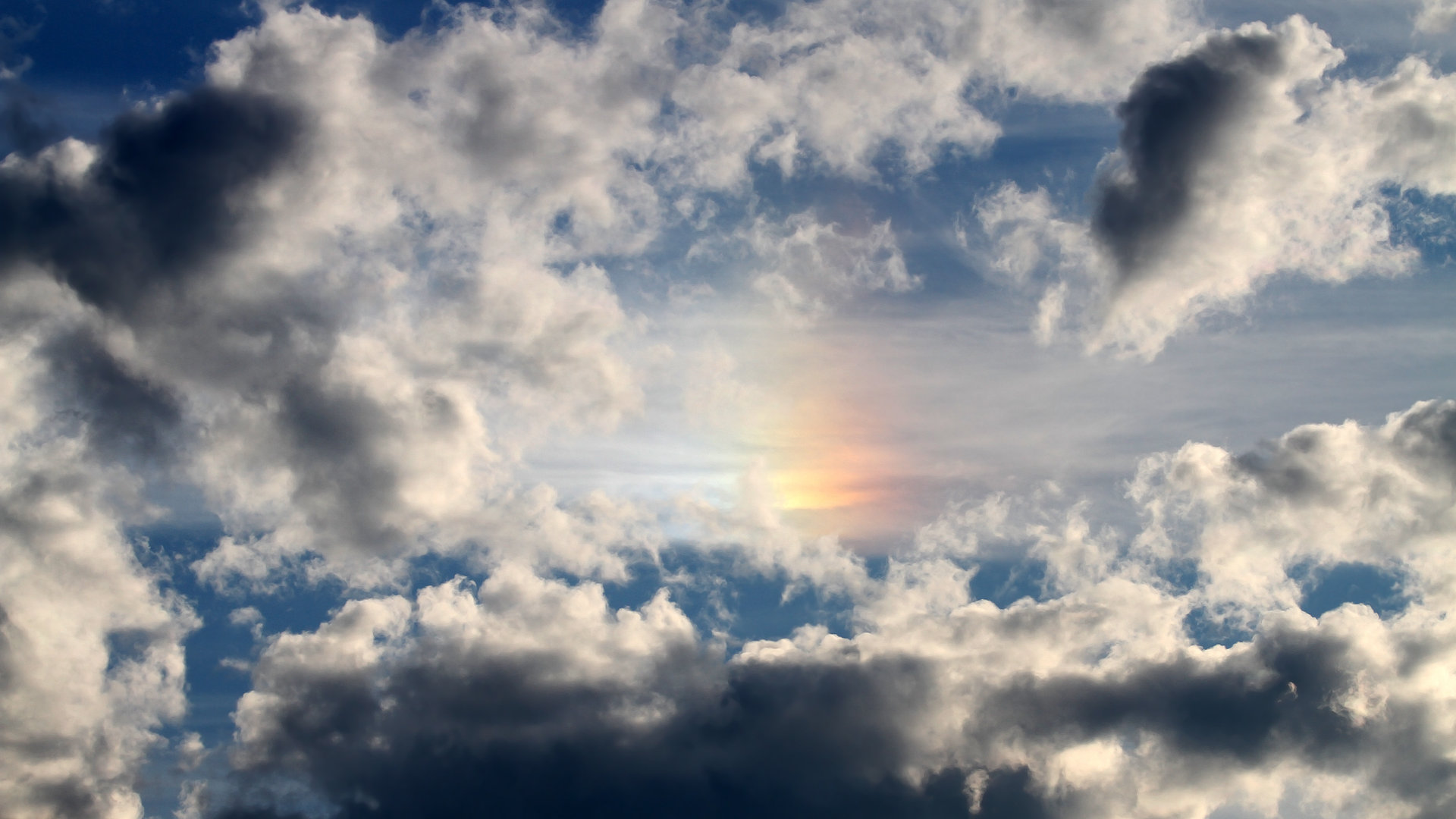 勒沃库森制霸委内瑞拉,罗德里戈关键先生引领胜利浪潮