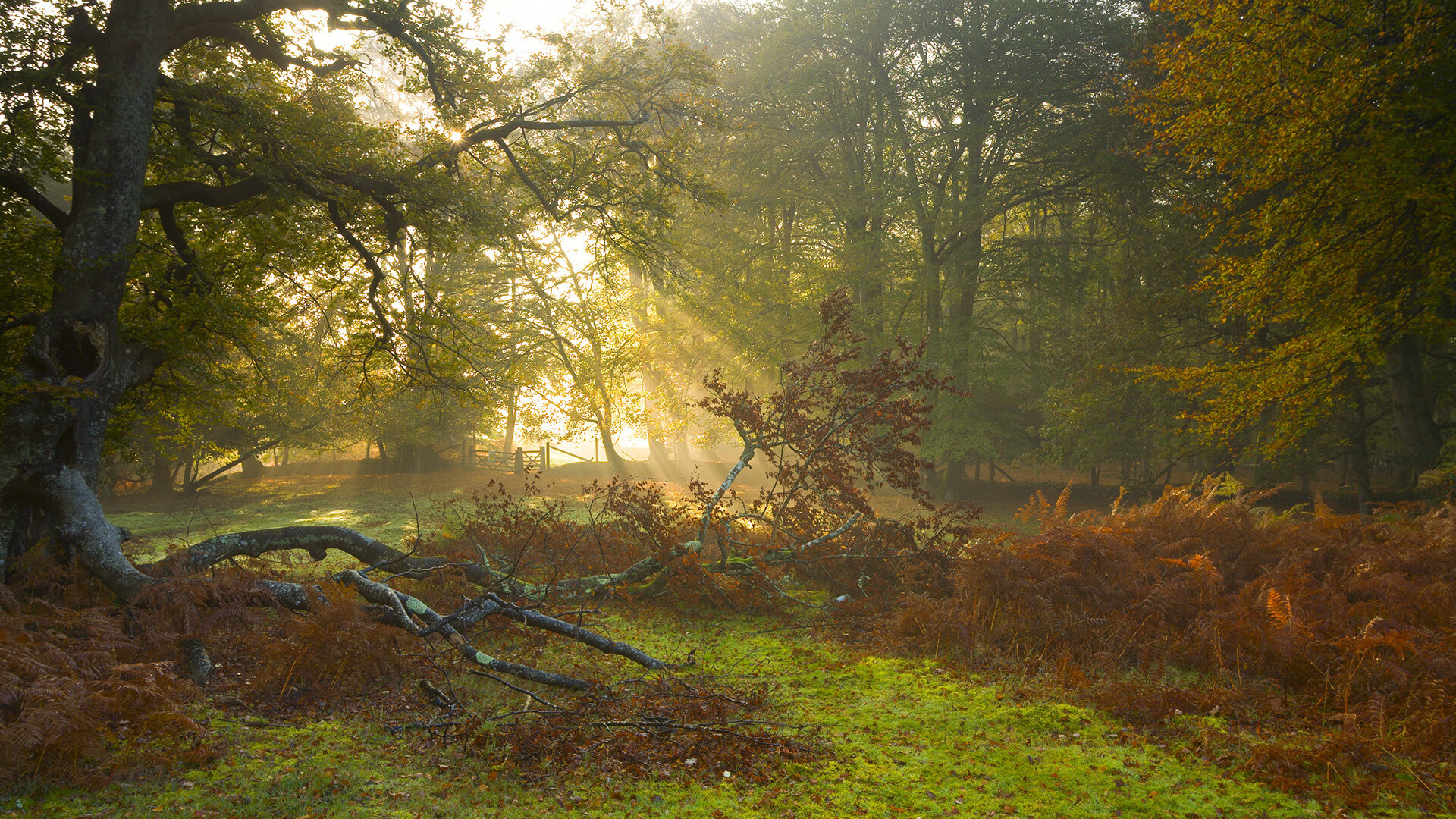 欧冠英雄李刚仁闪耀欧洲，中国足球险胜韩国引东方对决新篇章