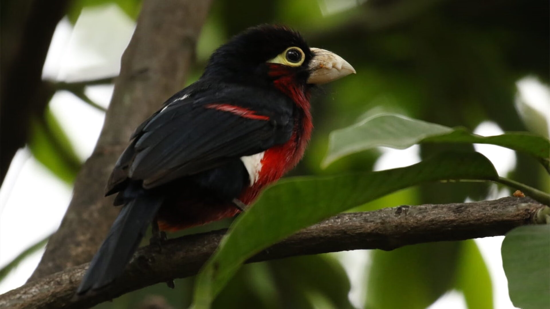 开云体育-绝杀与持久战，体育竞技的两种终极哲学