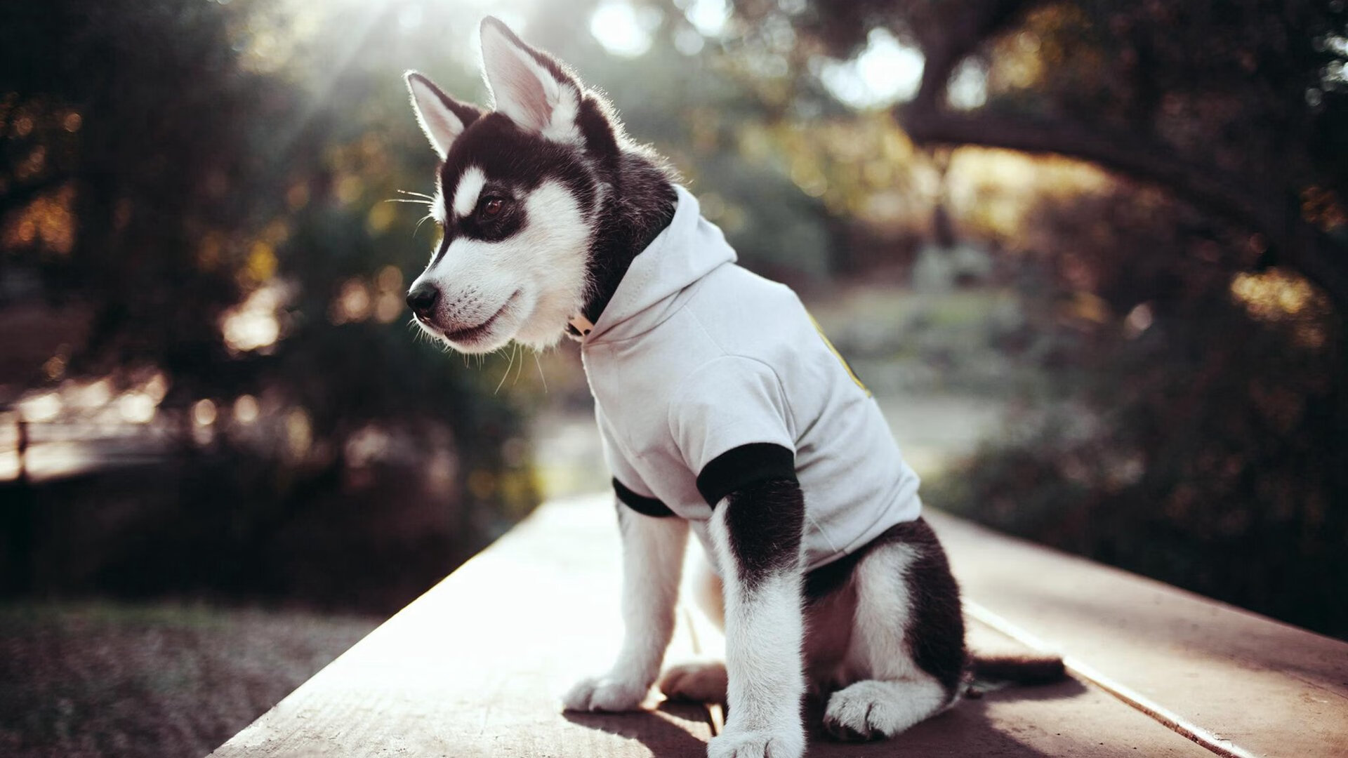 NBA季后赛之夜,莫兰特关键节点连续得分,点燃逆转之火