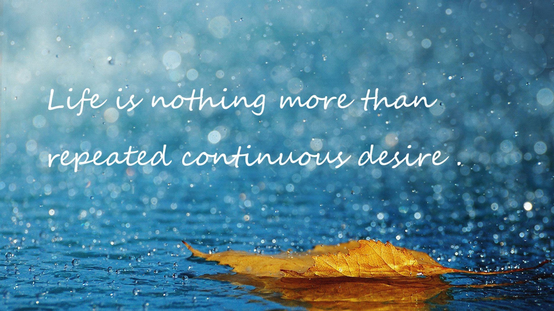 中场惊雷，坎特化身进攻利刃，尼日利亚撕裂南非防线