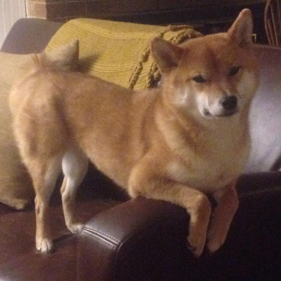 曼联掀翻洪都拉斯!苏亚雷斯替补神兵天降,梦剧场见证奇迹之夜