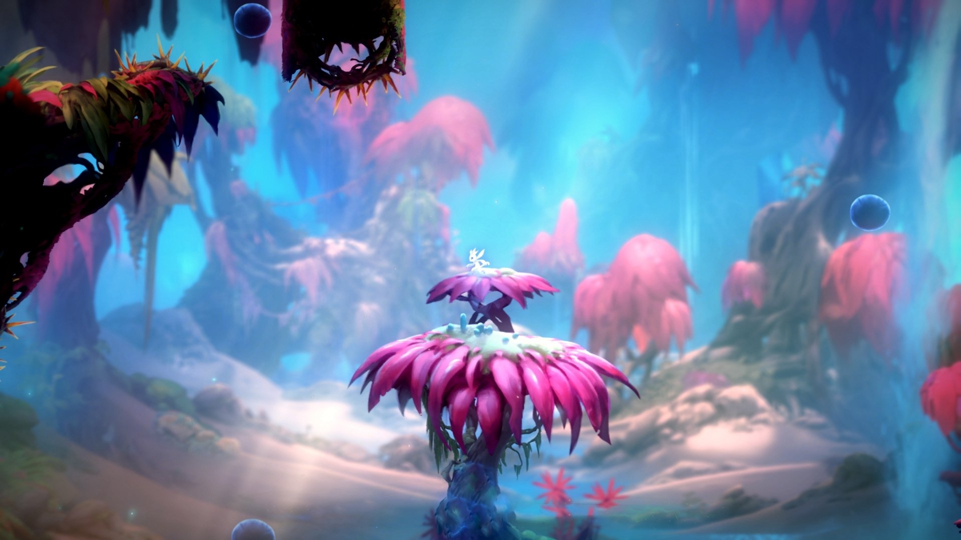 霍勒迪全程高能输出,国家德比之夜点燃西甲风云