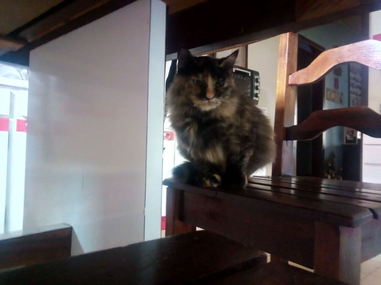 跨洋风暴！拉梅洛·鲍尔关键三双助广东队冲垮灰熊防线