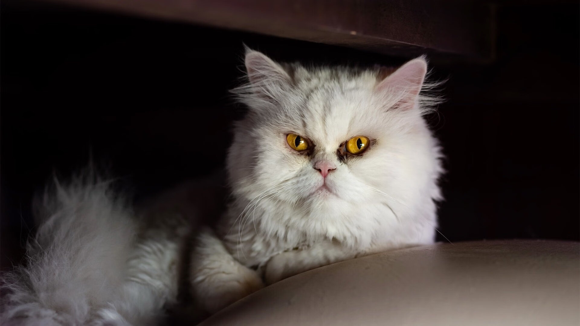 乔治压哨三分定乾坤！活塞主场险胜魔术上演逆转好戏