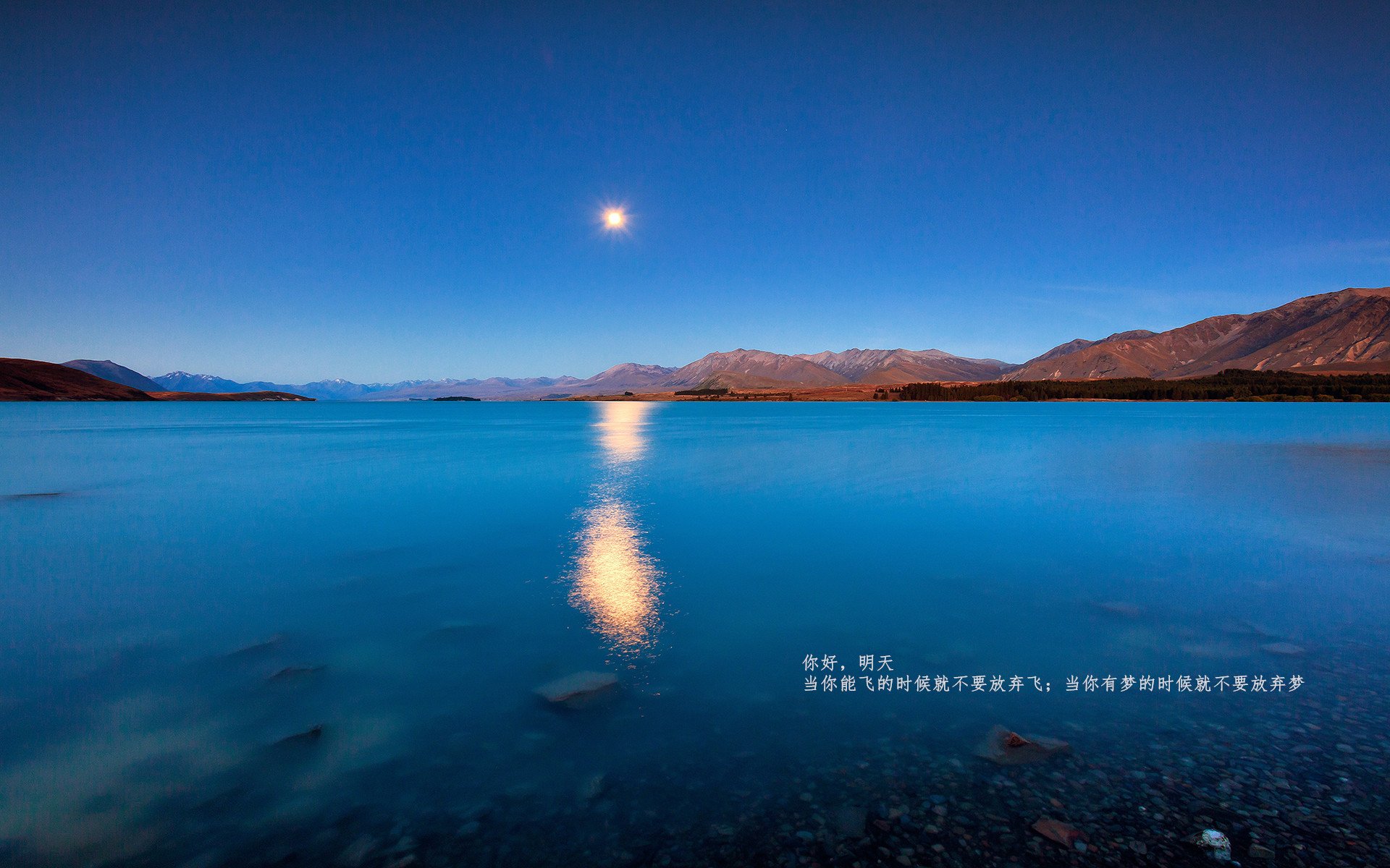 布雷默惊艳四座，塞维利亚关键战突围里昂