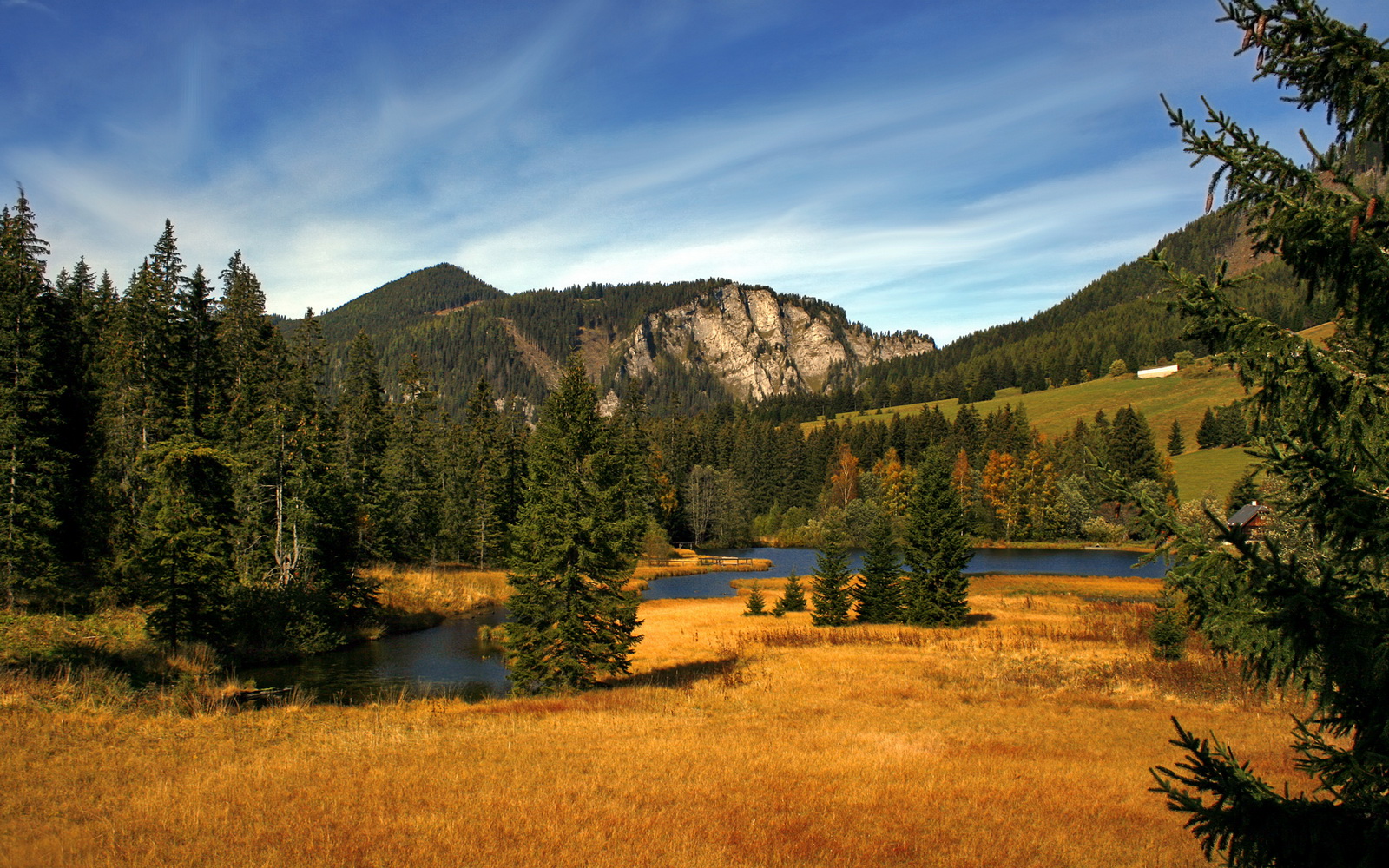 保罗关键先生闪耀，老鹰全面压制开拓者展翅高飞