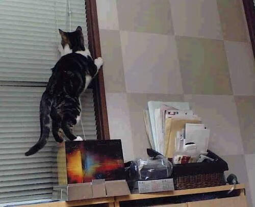 基米希关键时刻挺身而出，牙买加决胜局力克中国