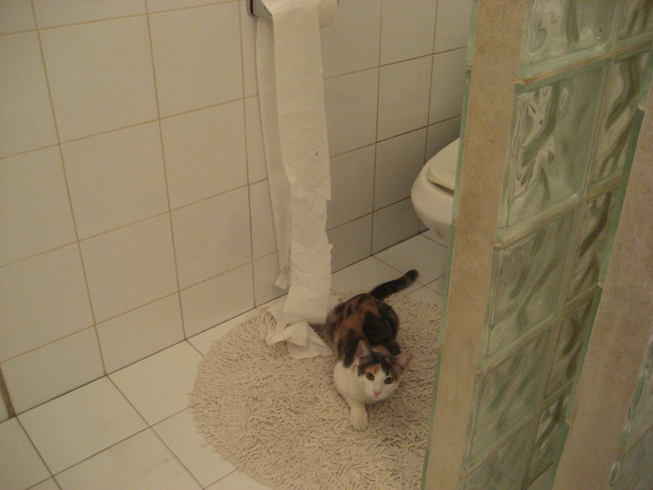 开云体育-逆袭之夜！奇才强行终结独行侠七连胜，拉文致命一击成关键先生