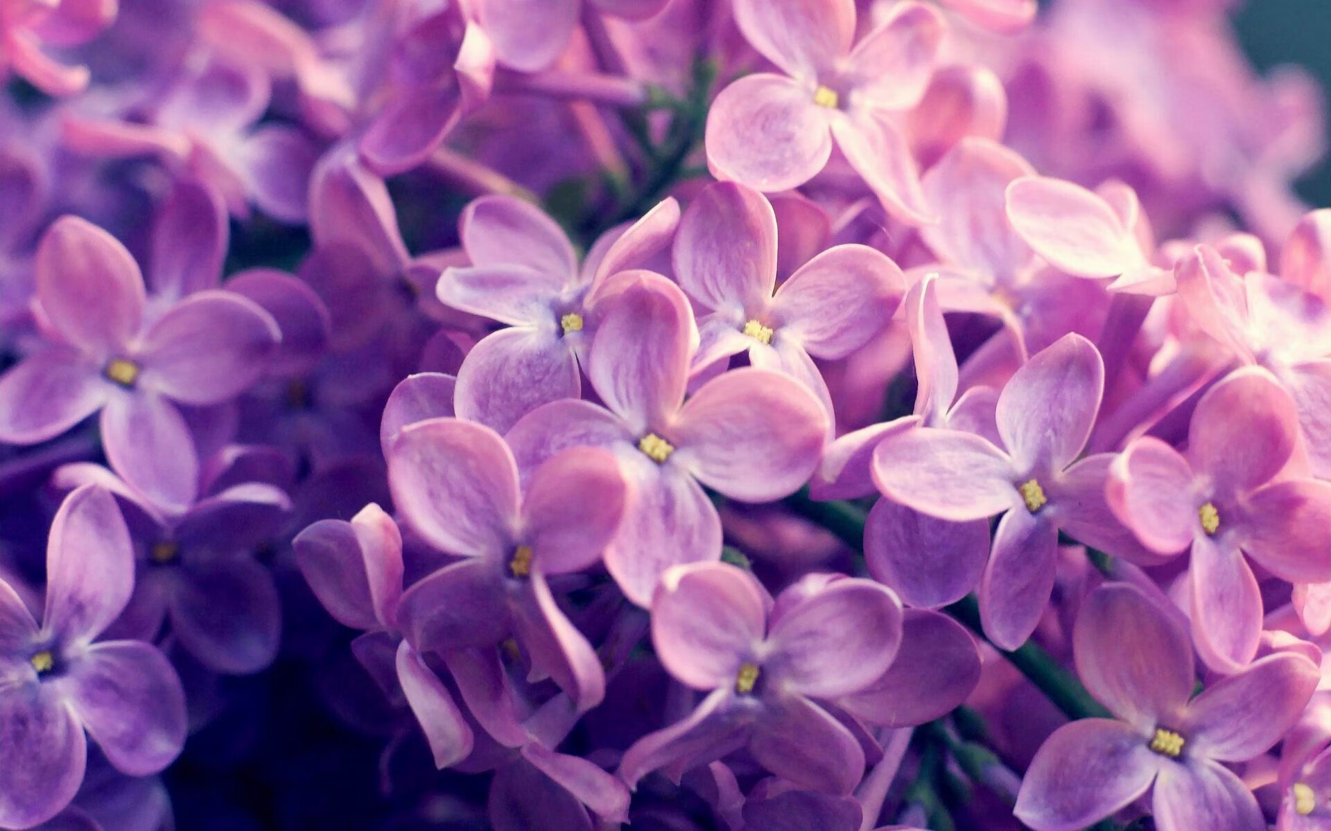 开云体育官方网站-孔德神兵天降，北欧风暴席卷潘帕斯—论挪威的压制级胜利