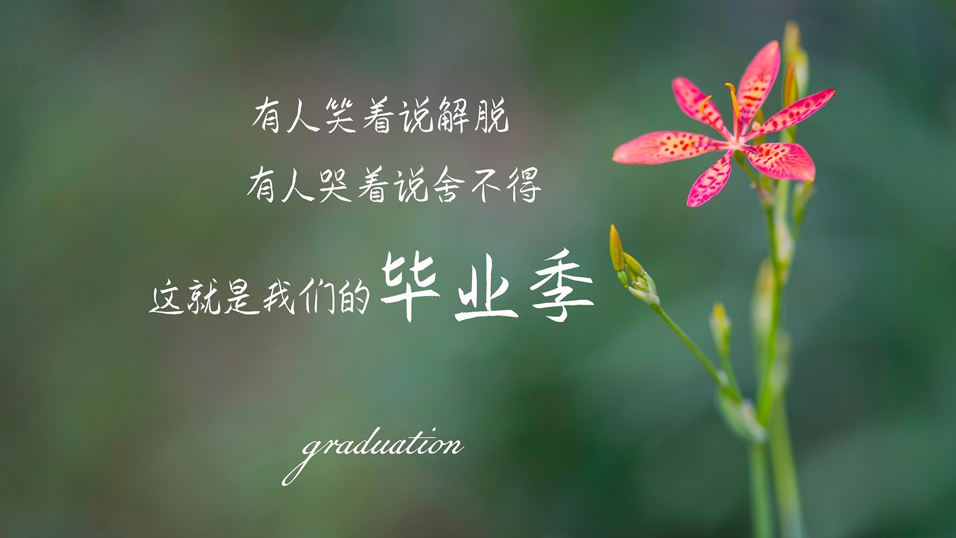 开云体育官网-范戴克，终场哨响前，一座行走的叹息之墙